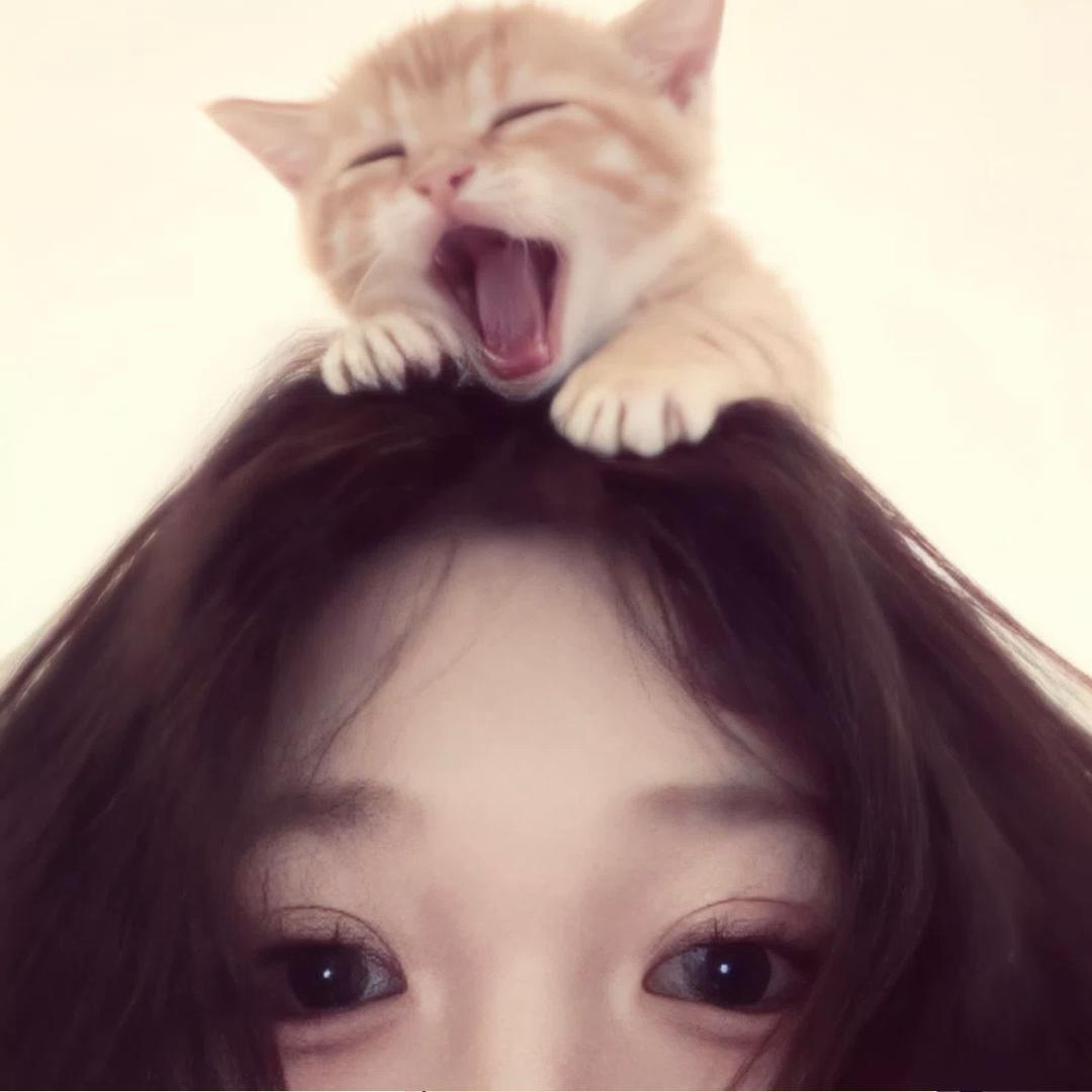 黎褚