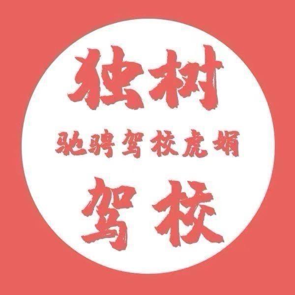 独树驰骋驾校 虎娟吖🌸