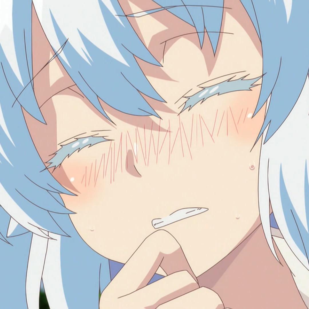 壳壳菌