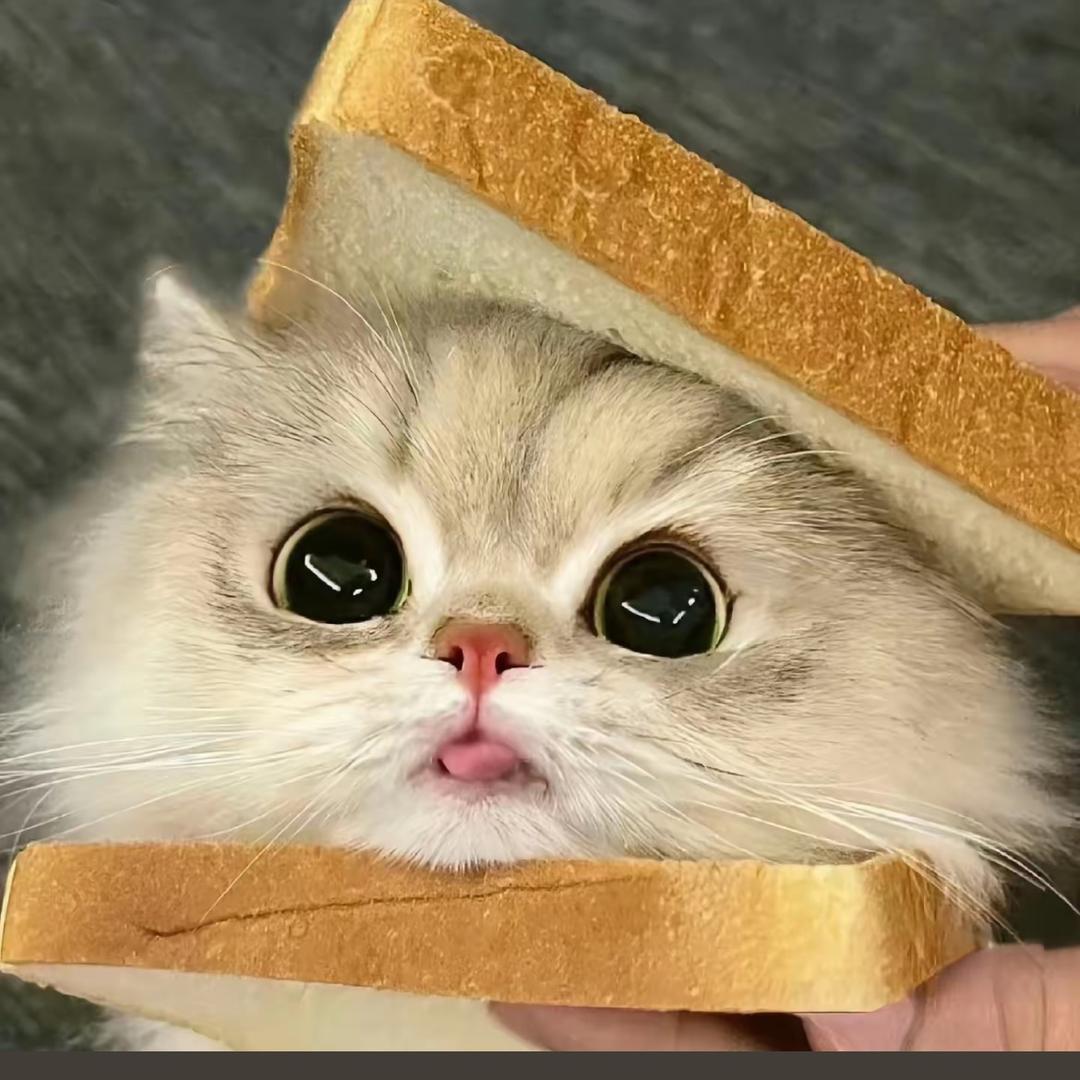 古里古怪的小性格🥳