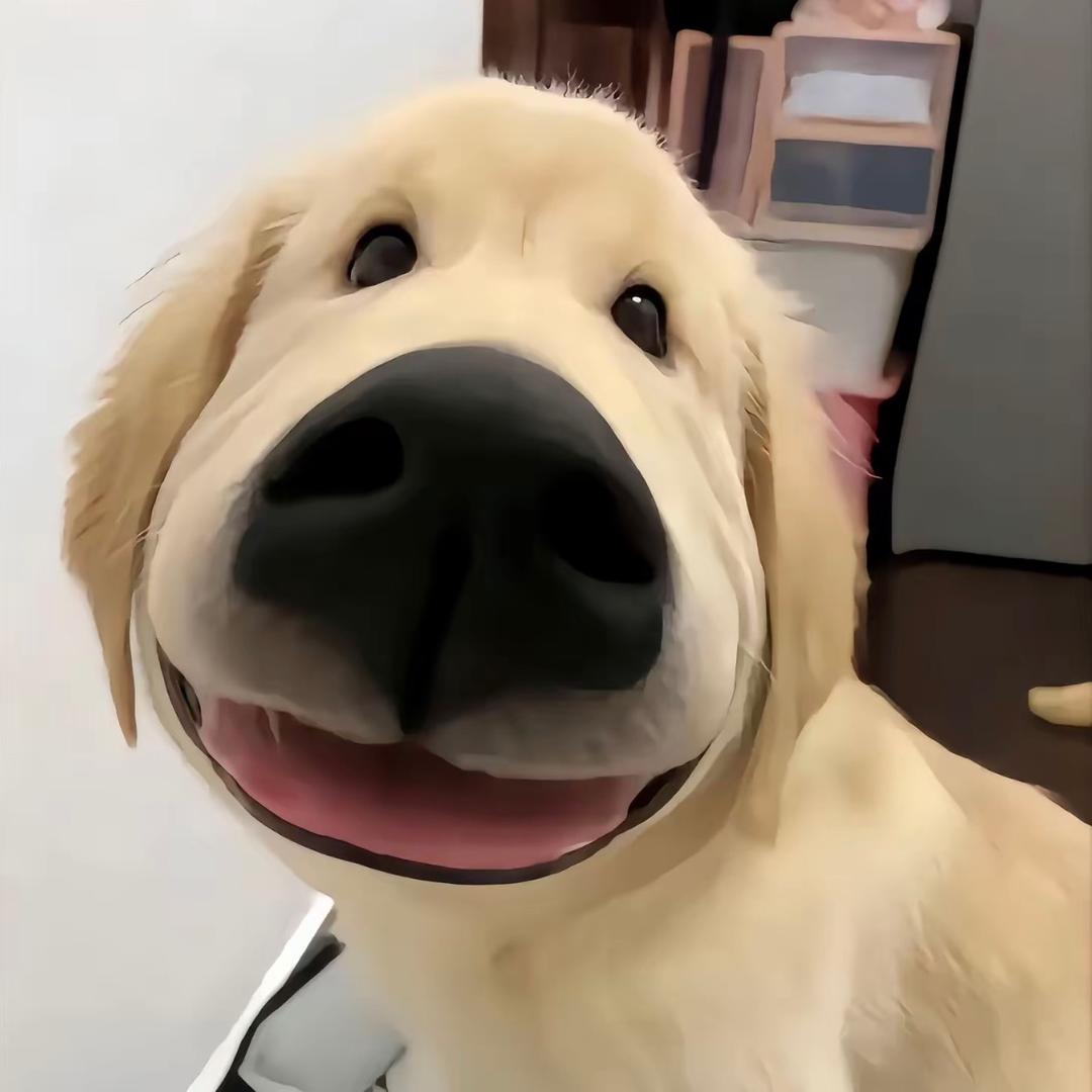 装修