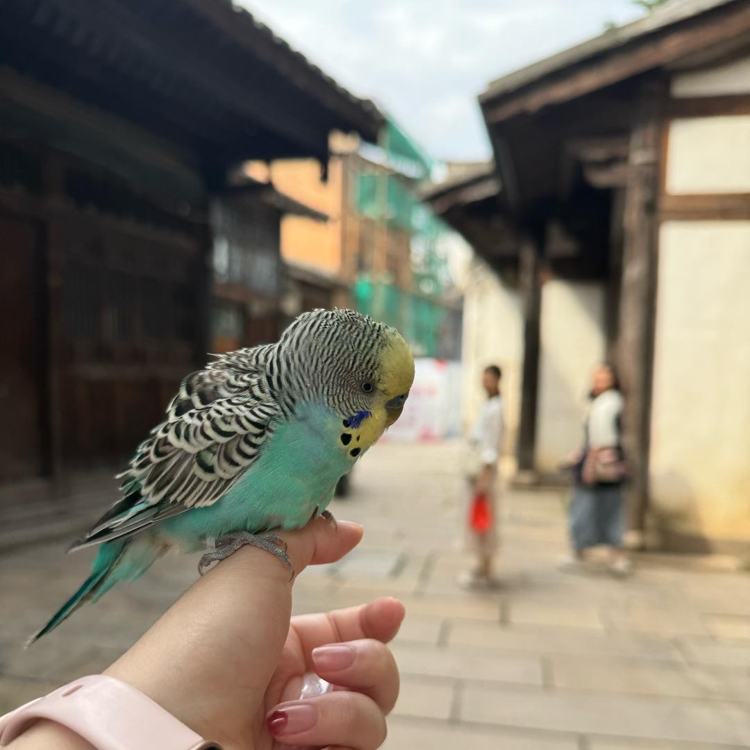 埃兰苏儿^_^