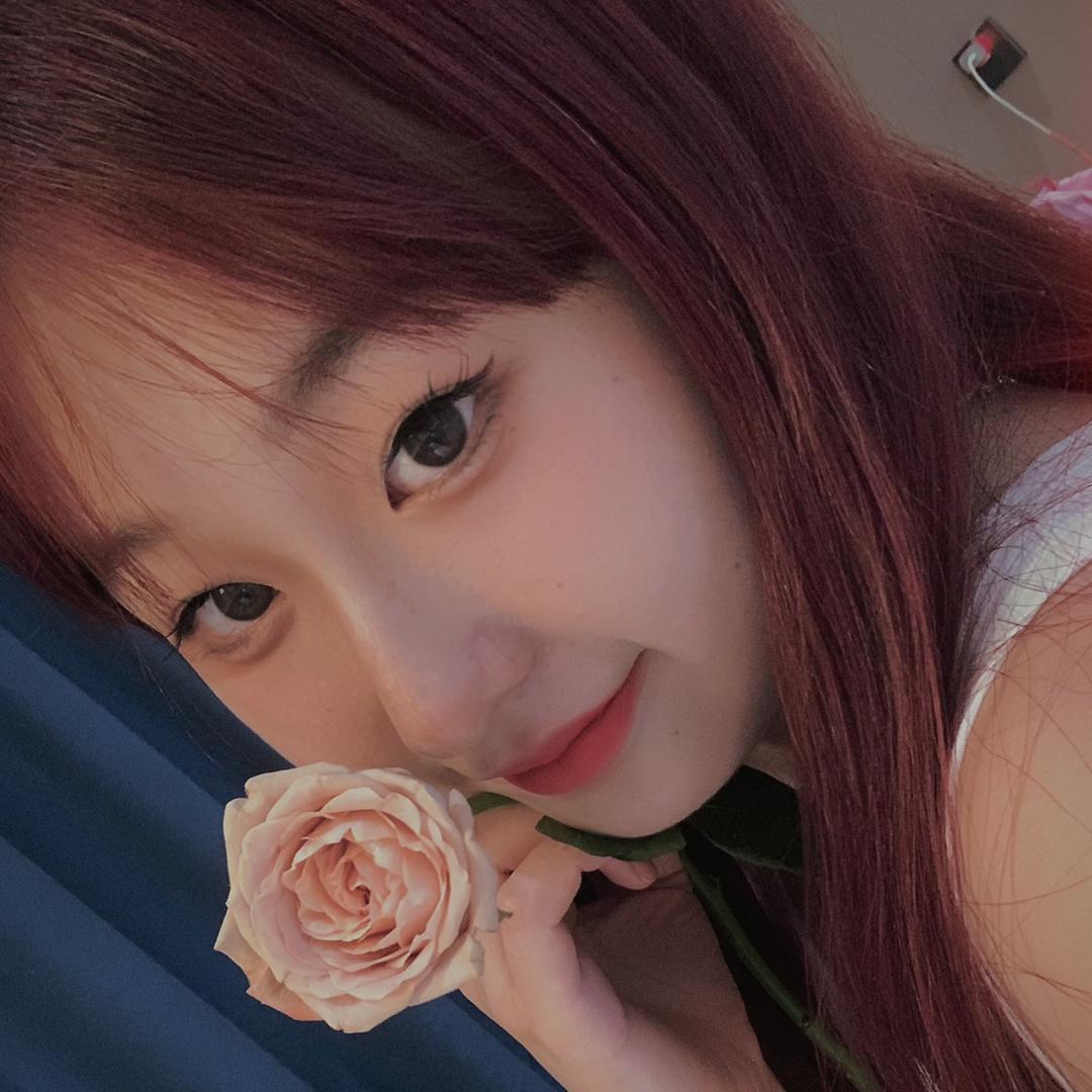 陈陈的一天到晚