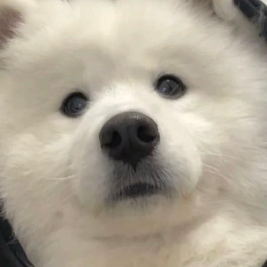 吹箫