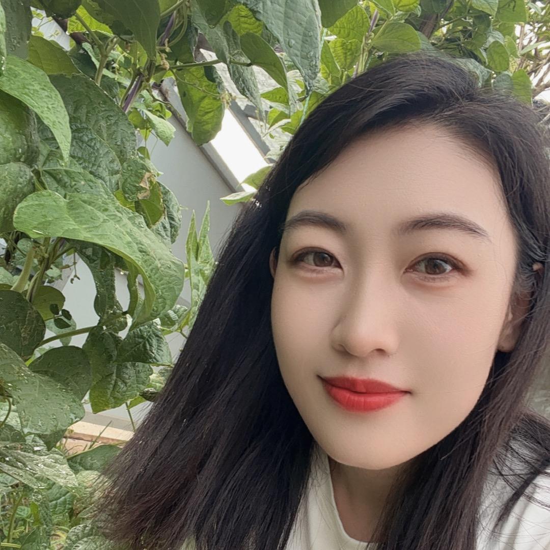 顺盈种苗莉莉