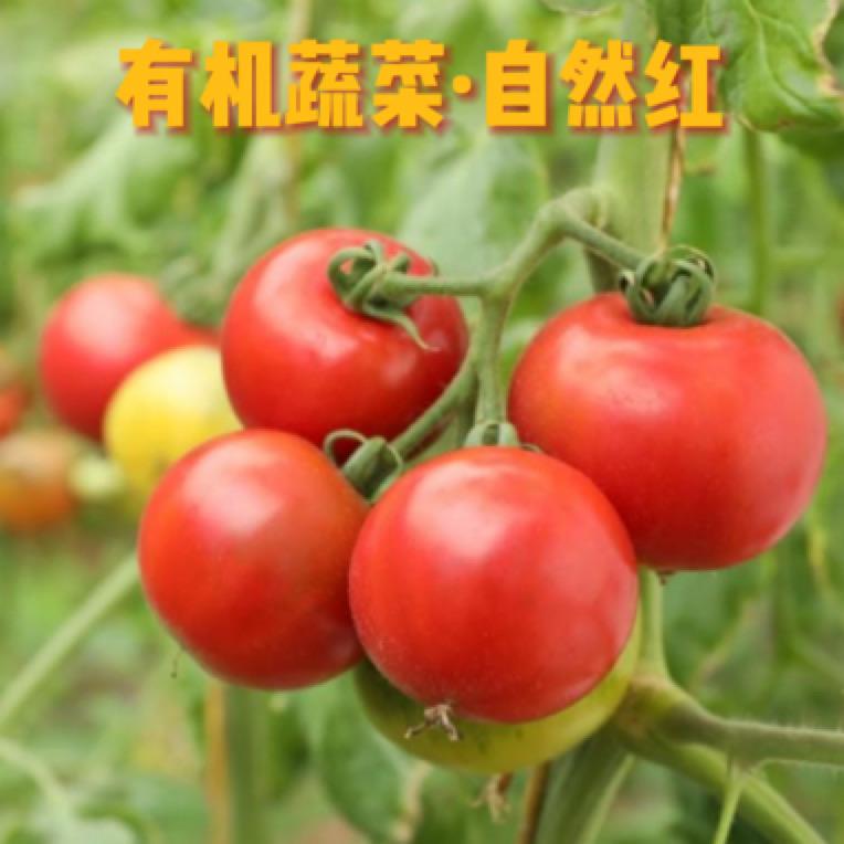 渝林鲜果蔬超市