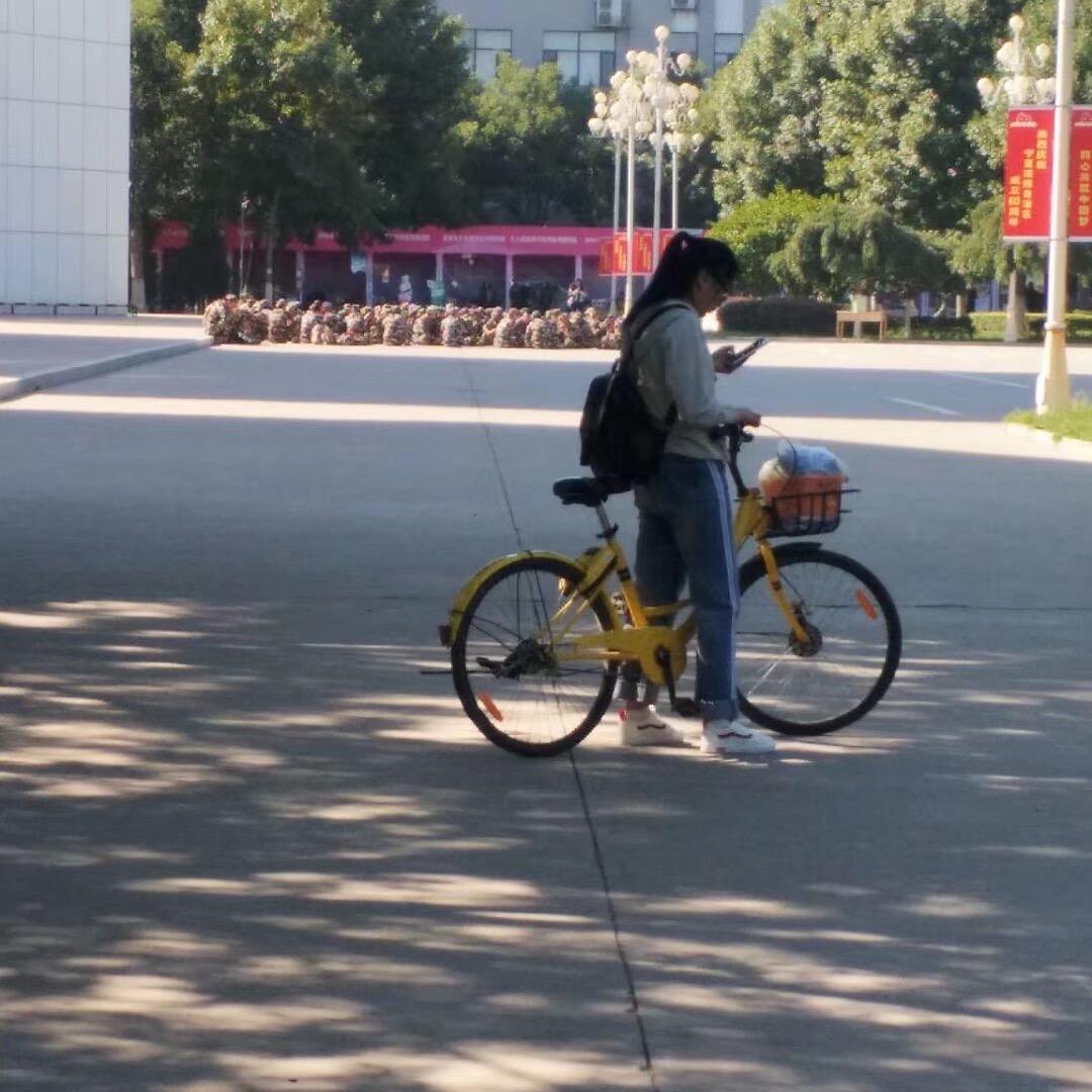 素时景年