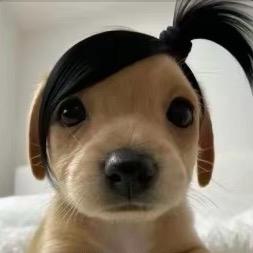咕噜噜
