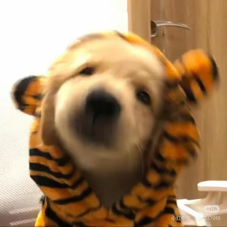 🍍