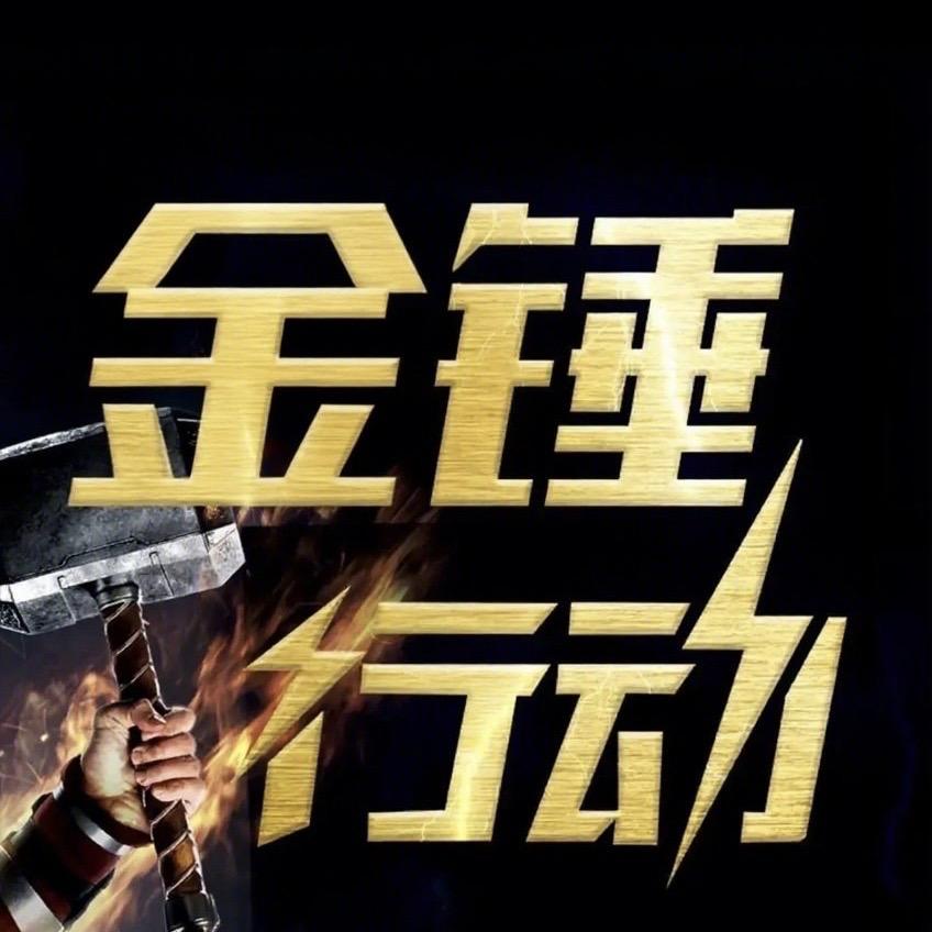 中宅金锤行动