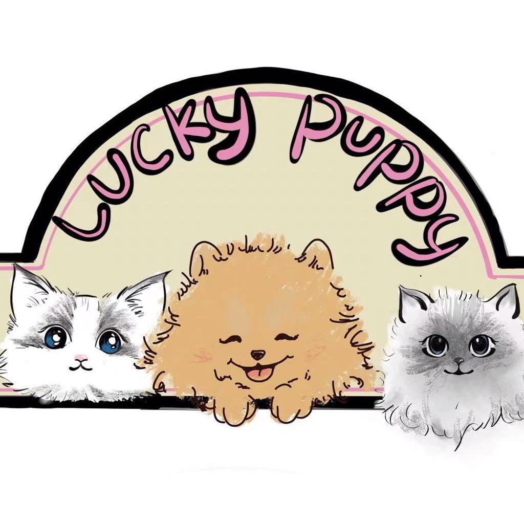 Little Tail小尾巴吉宠家宠物店