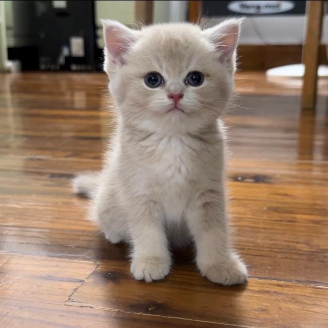 想不出什么好名字