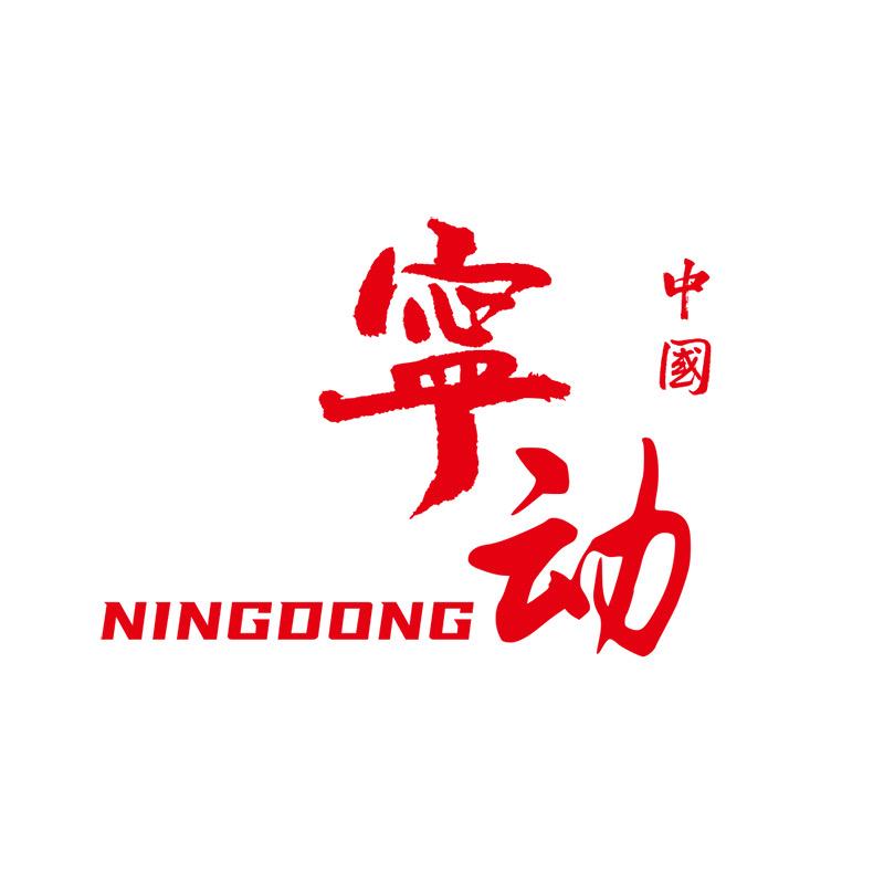 宁动飞大运动鞋服专卖店