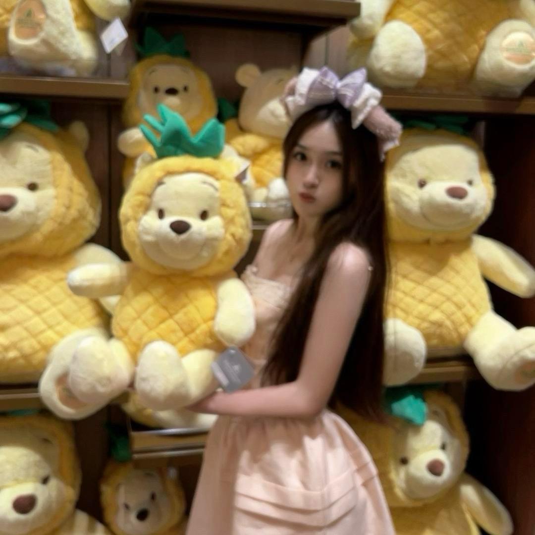 菠萝小困
