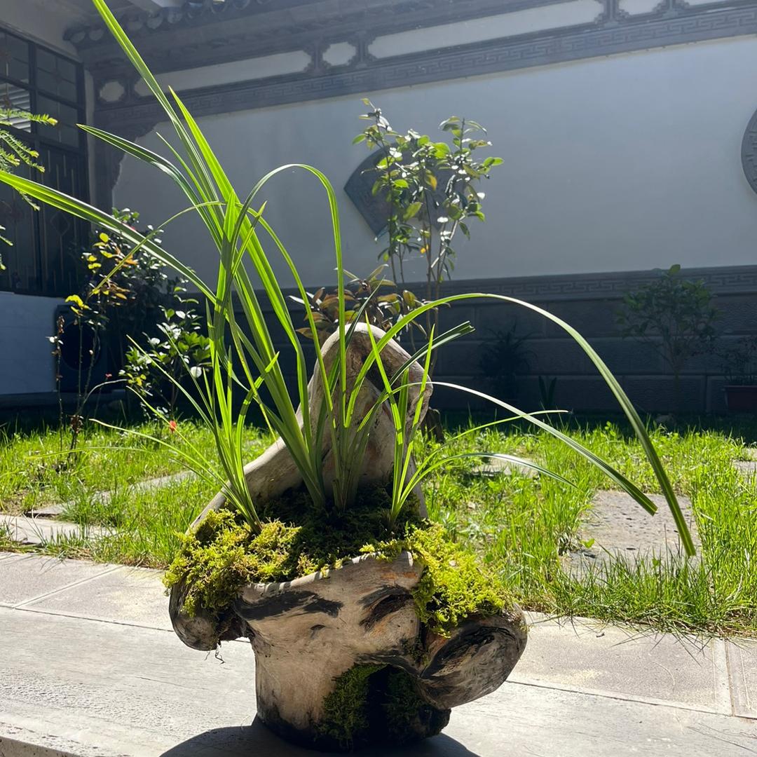 এ᭄༊淡墨ღꦿ࿐