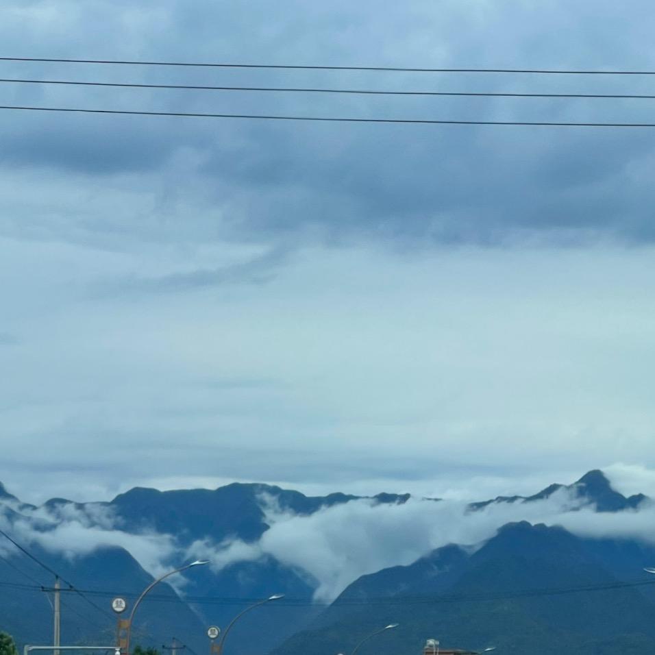 一哈