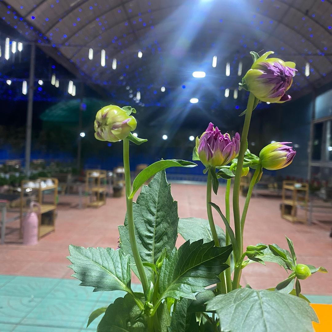 满天星烧烤城官方号