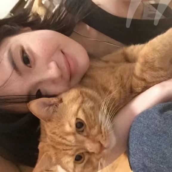 小李不吃🫚