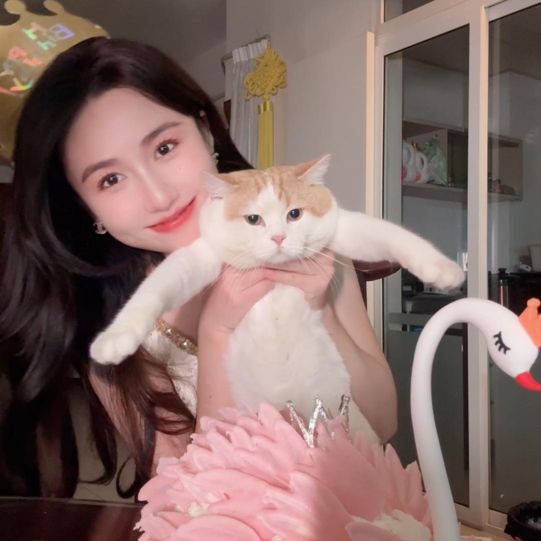 小嗷哇~🐈