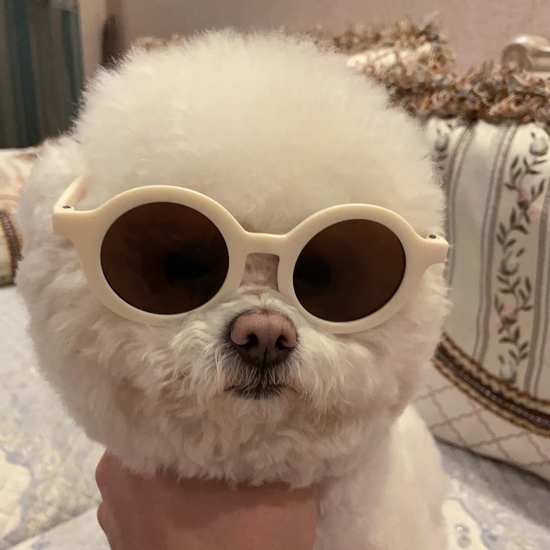 堃堃（三角洲行动）