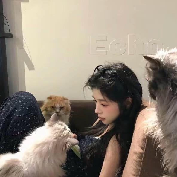 如果敏感是天赋.