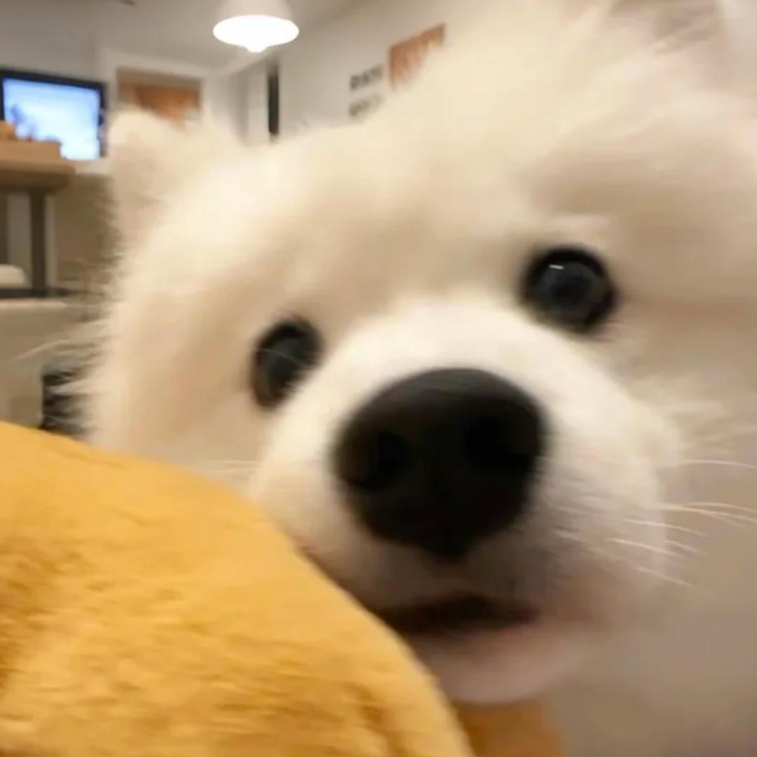 汤圆^