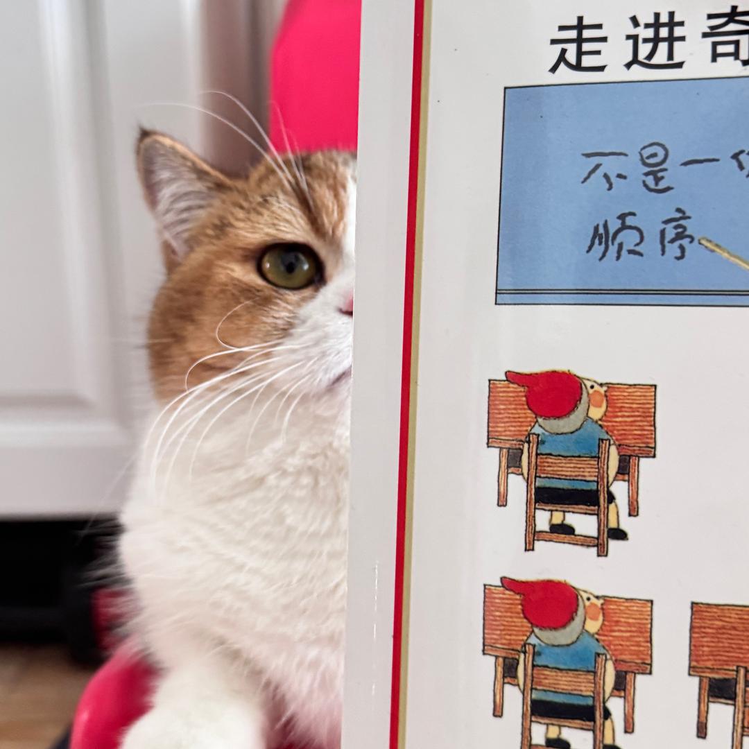 爱💖达不溜