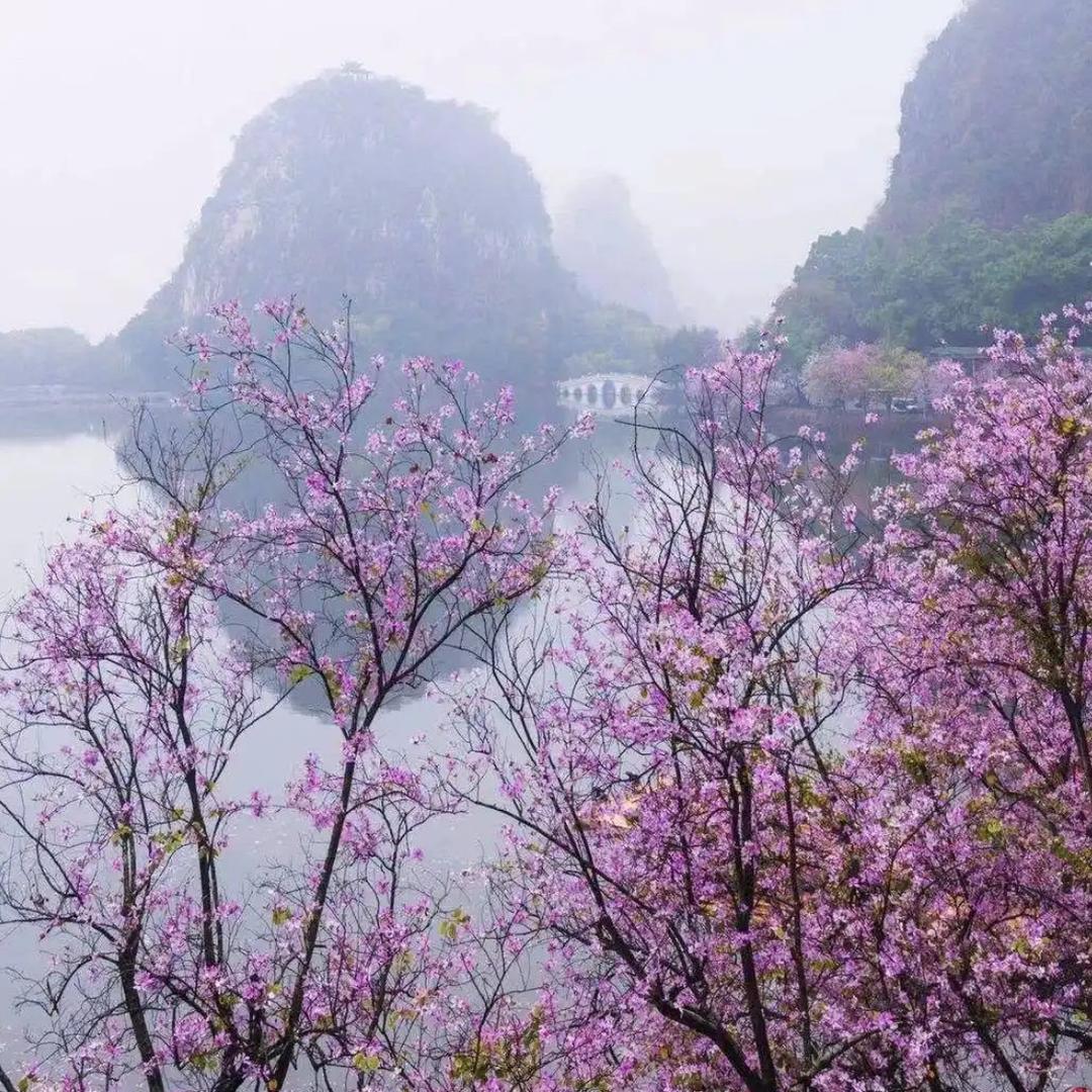 叁分烟雨
