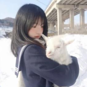 慕中秋明月