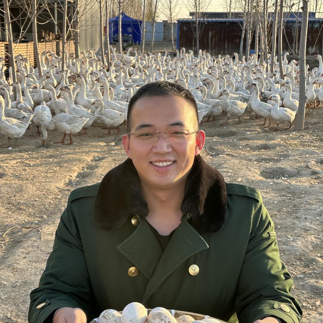 大帅与大壮的鹅厂