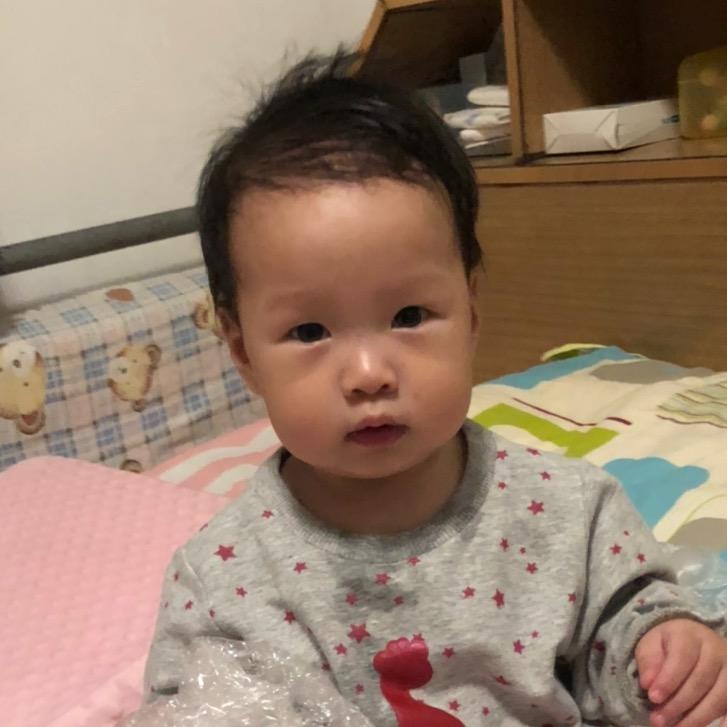 🌈我就是我🐱🐶🐟