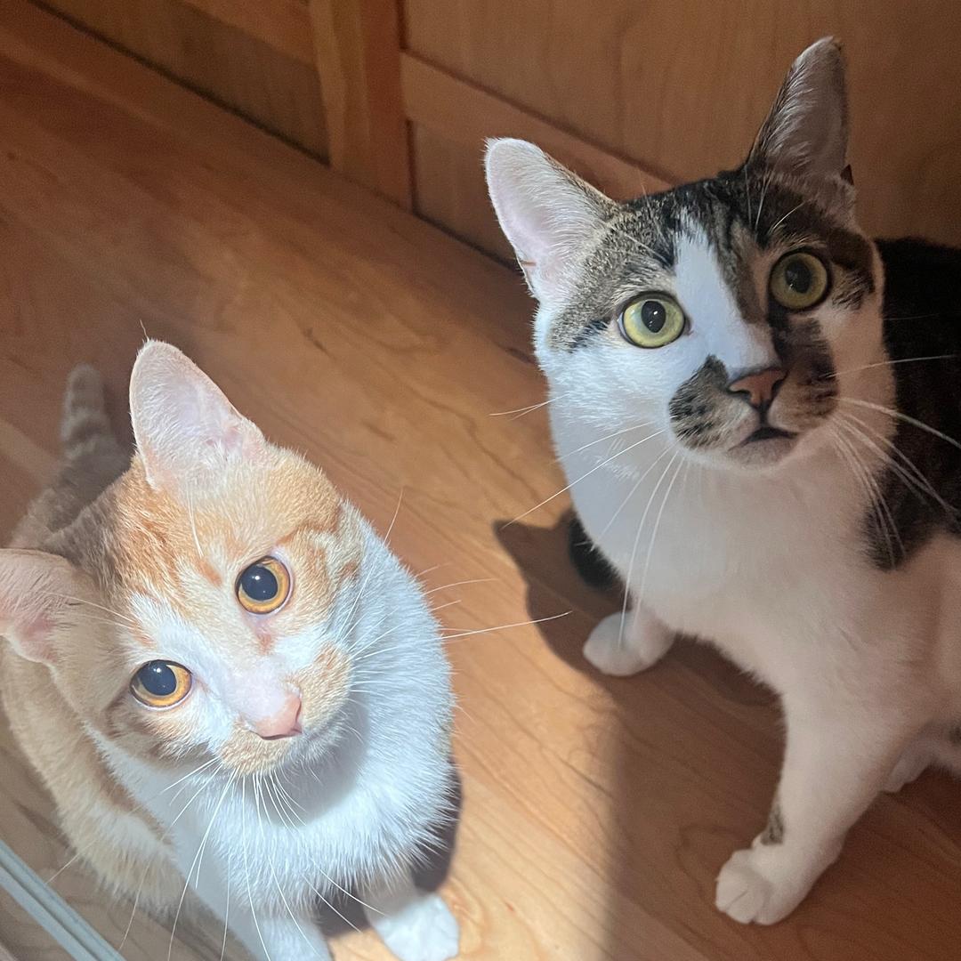 看看