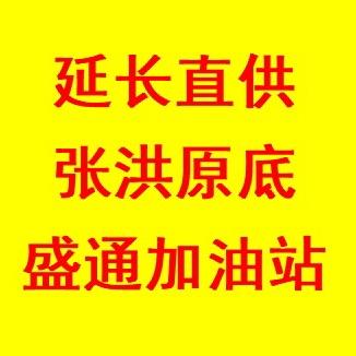 延长原底盛通加油站