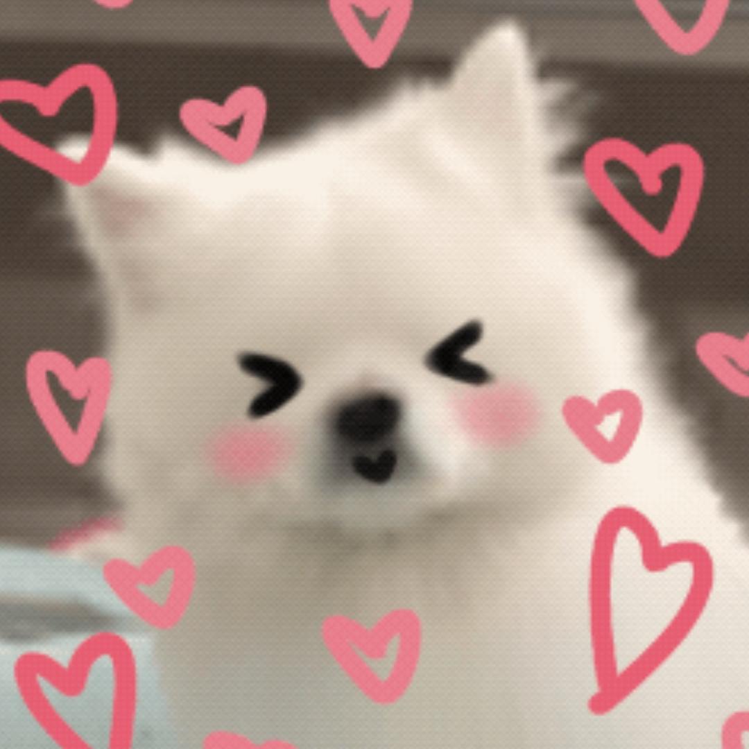 诺无言