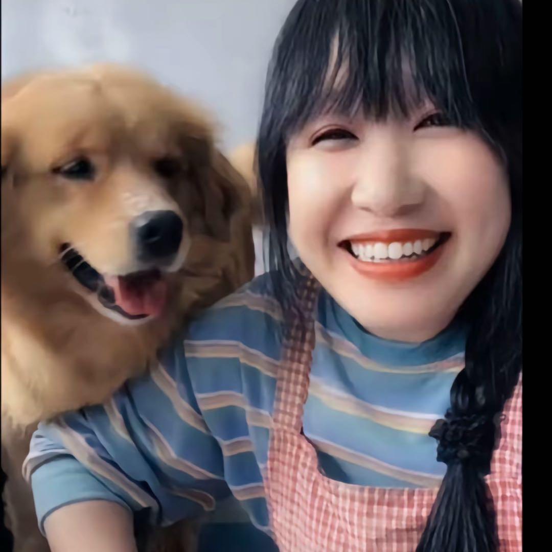 拉布拉多犬的快乐生活