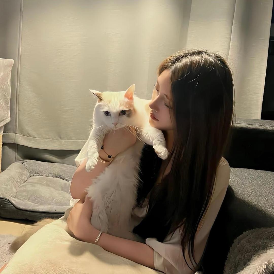 阳阳