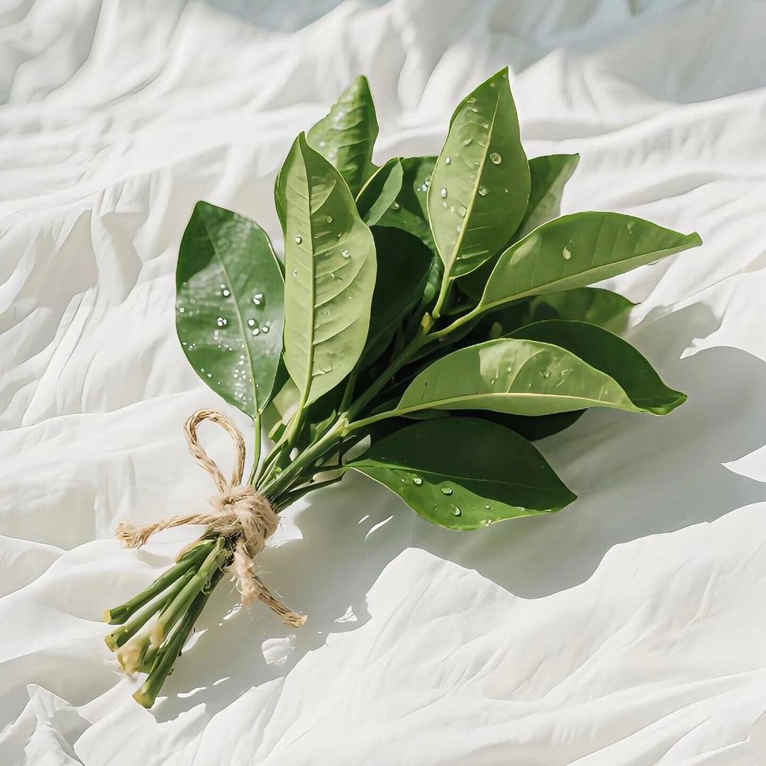 漫漫人生路🚶‍♀️