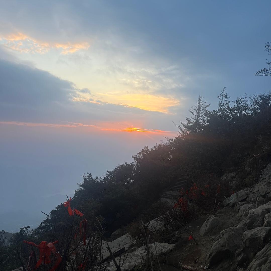 诚信购物广场(张集镇，田庙乡)