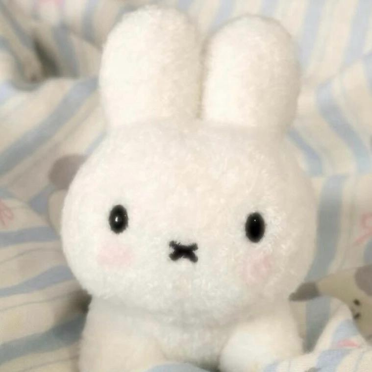 哈喽.，