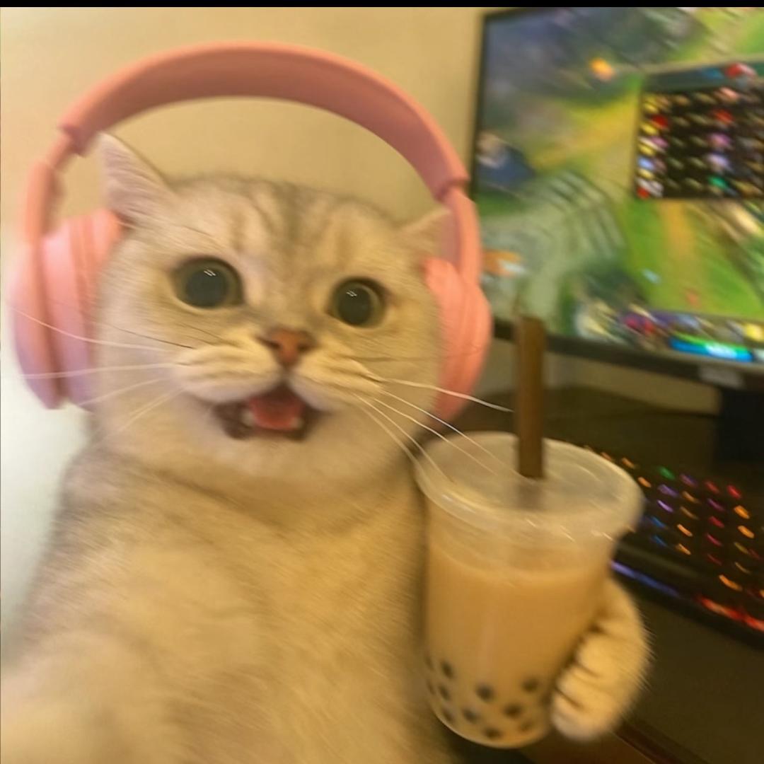 小菊花没有菊花