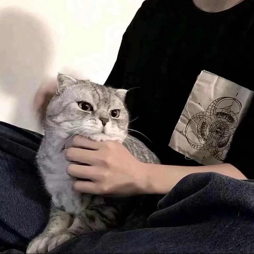 余安