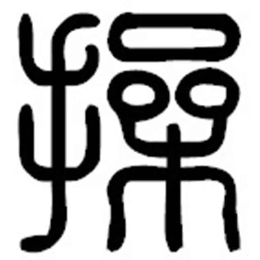 实操派养生