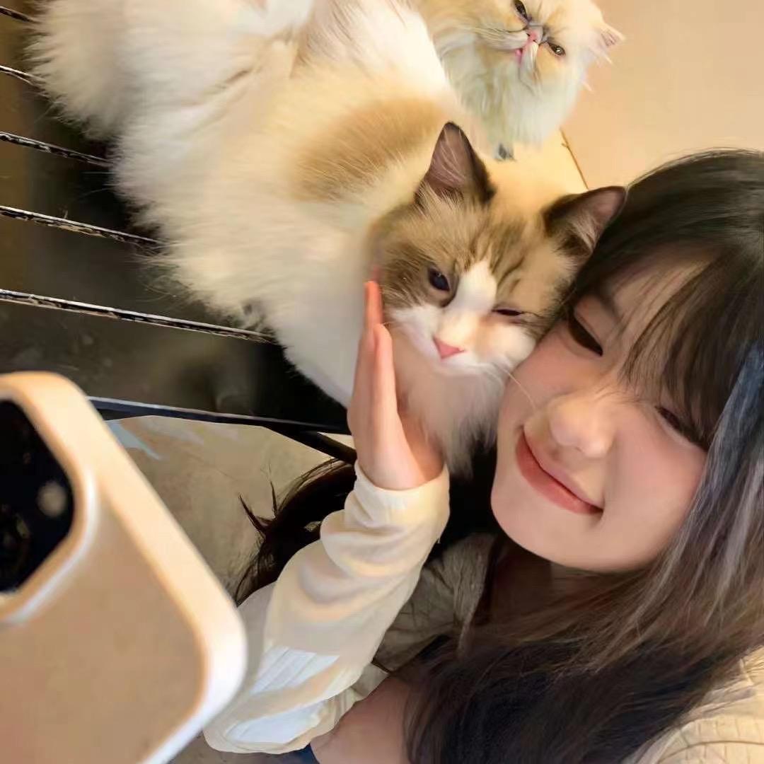 绿洲
