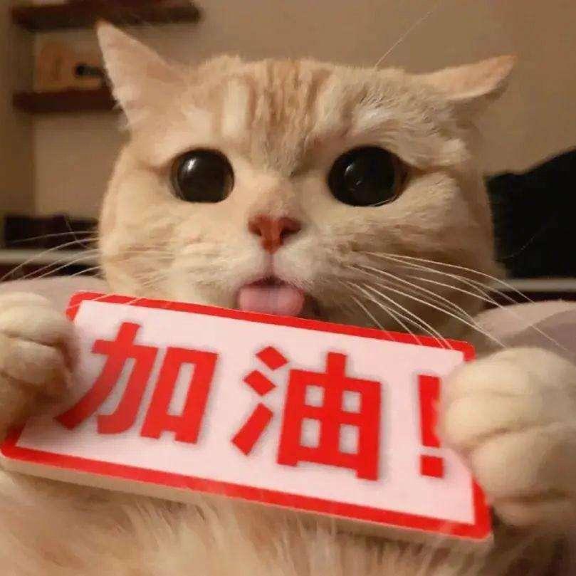 英华酒店的叶皓晨头像