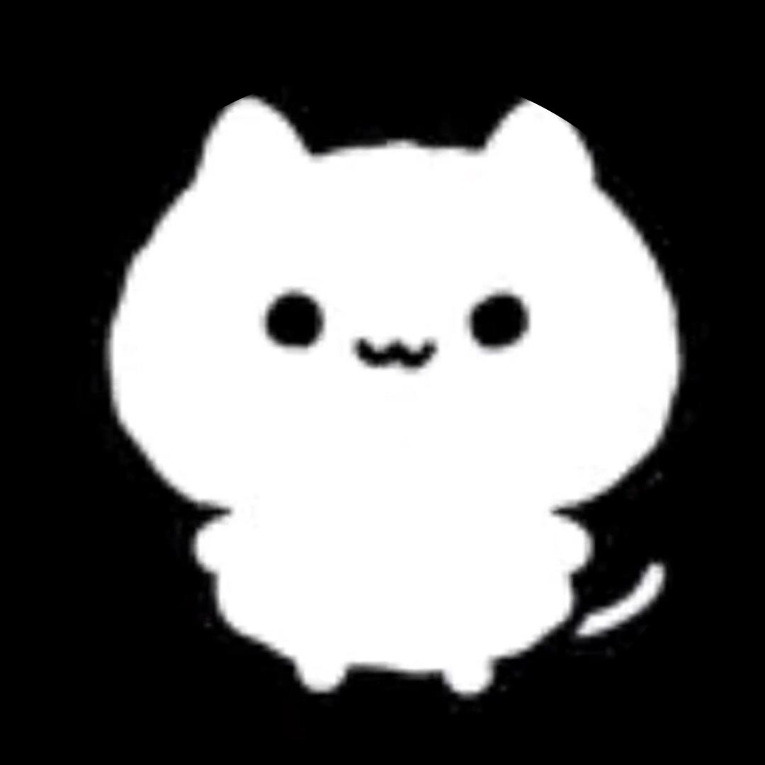 nn.zn