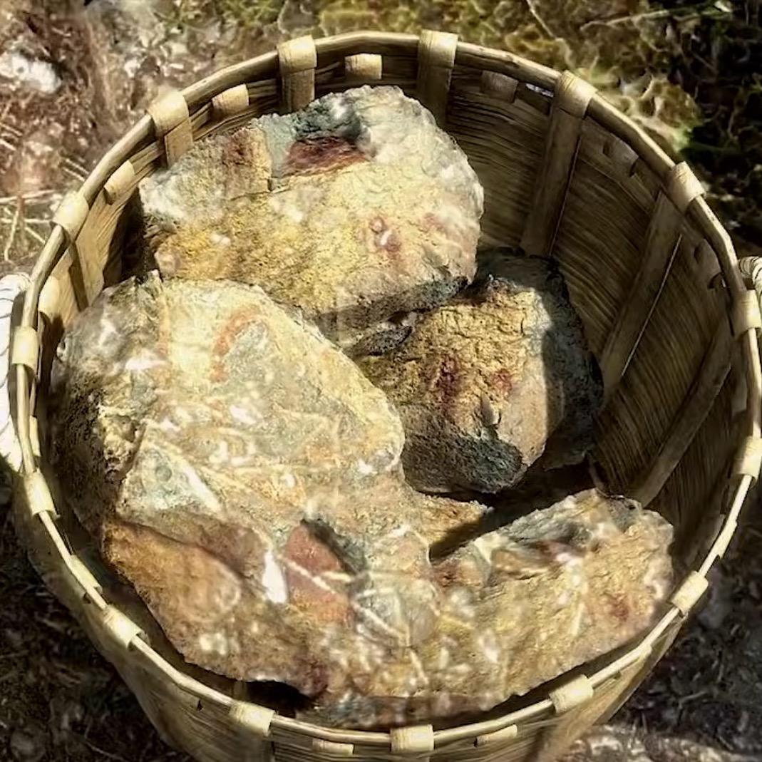 石头（训练出了七位神）