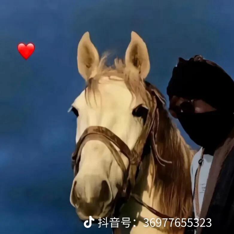 强👩‍❤️‍💋‍👨丈夫