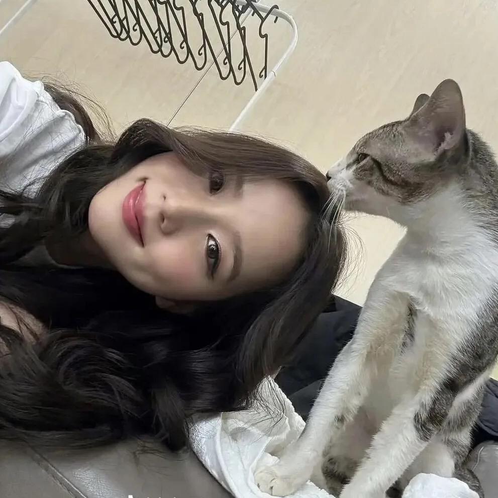 随投莱莱爱睡觉