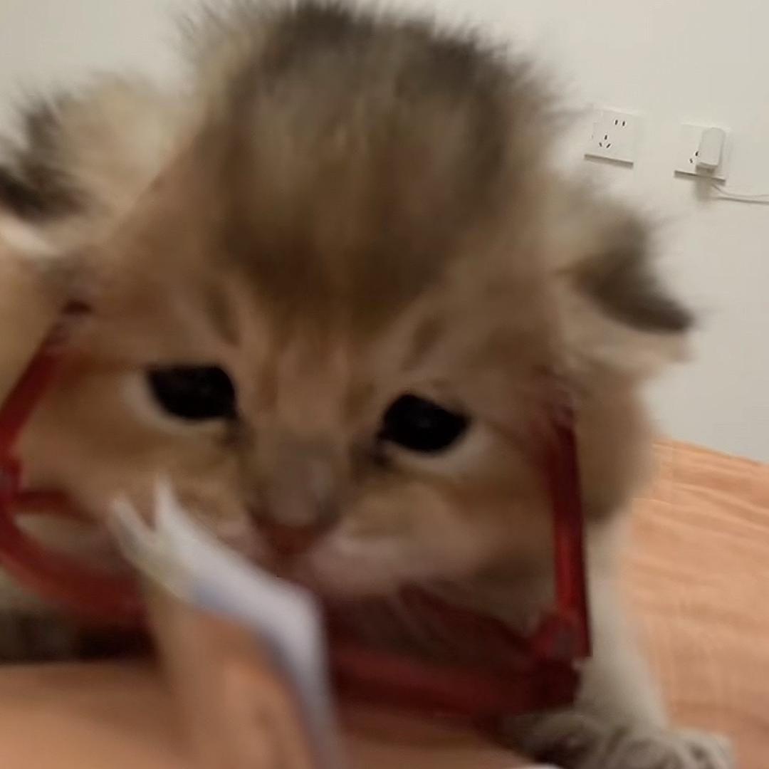 没有不想吃