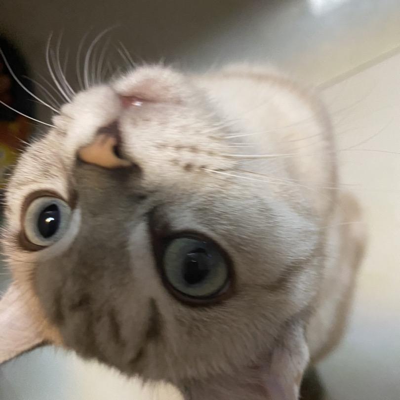 世一炉